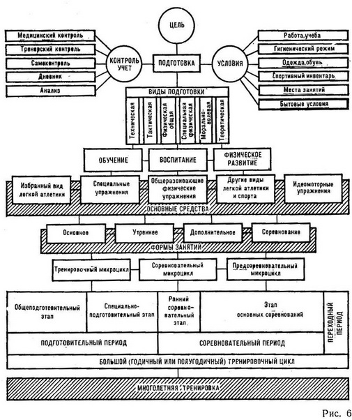 Формирование тренировочного процесса