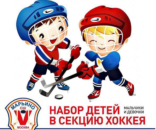 Проект хоккей в школу
