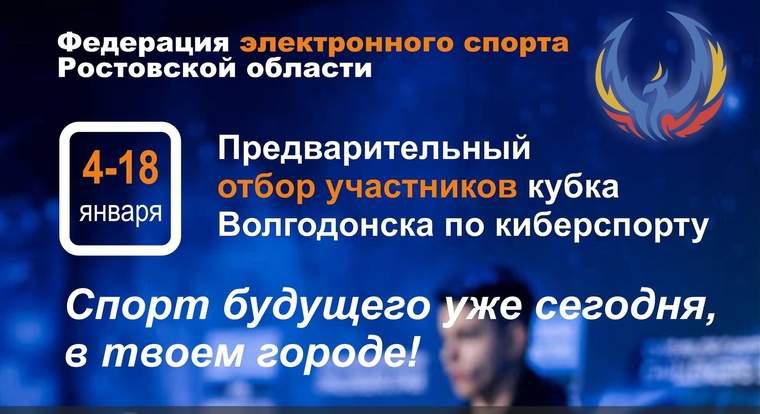 Федерация электронного спорта