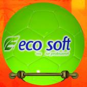 Ecosoft. 