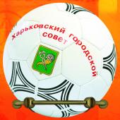 Харьковский городской совет. 